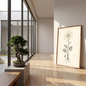 Impression sur toile Fleur de flanelle botanique