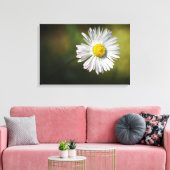 Impression sur toile - Fleur de marguerite (Insitu(Salon))