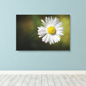 Impression sur toile - Fleur de marguerite (Insitu (Plancher de Bois))