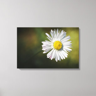 Impression sur toile - Fleur de marguerite