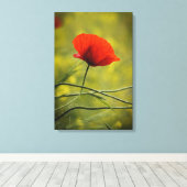 Impression sur toile - Fleur de pavot unique en fl (Insitu (Plancher de Bois))