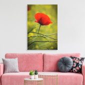 Impression sur toile - Fleur de pavot unique en fl (Insitu(Salon))