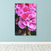 Impression sur toile Fleurs de géranium rose (Insitu (Plancher de Bois))