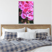Impression sur toile Fleurs de géranium rose (Insitu(Chambre))