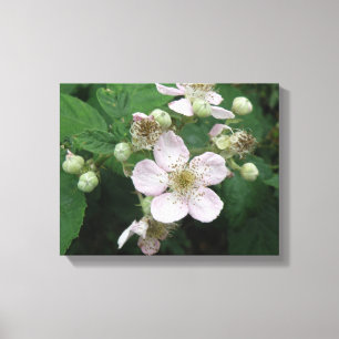 Impression sur toile Fleurs de mûrier