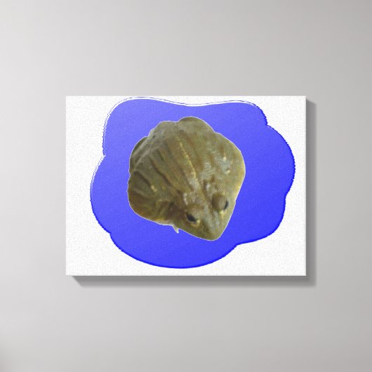 Impression sur toile Grenouille-taureau dans l'éta (Recto)