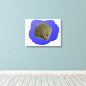 Impression sur toile Grenouille-taureau dans l'éta (Insitu (Plancher de Bois))