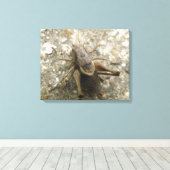 Impression sur toile Grillon des champs marron (Insitu (Plancher de Bois))