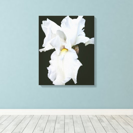 Impression sur toile Iris à barbe blanche sur fond (Insitu (Plancher de Bois))