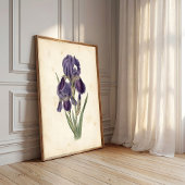 Impression sur toile Iris Bohème Vintage