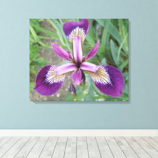 Impression sur toile Iris violet (Insitu (Plancher de Bois))