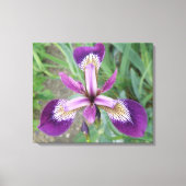 Impression sur toile Iris violet (Recto)