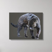 Impression sur toile Jaguar Diablo gris (Recto)