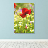 Impression sur toile - Le Coquelicot rouge (Insitu (Plancher de Bois))