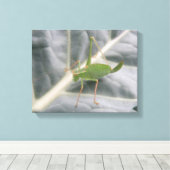 Impression sur toile macro du criquet vert (Insitu (Plancher de Bois))