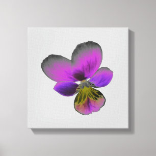 Impression sur toile Pansy Wild Dark Purple