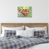 Impression sur toile Papillon Brun Joli (Insitu(Chambre))