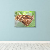 Impression sur toile Papillon Brun Joli (Insitu (Plancher de Bois))