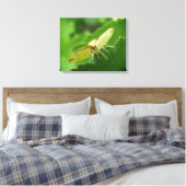 Impression sur toile Papillon de soufre (Insitu(Chambre))