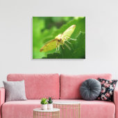 Impression sur toile Papillon de soufre (Insitu(Salon))