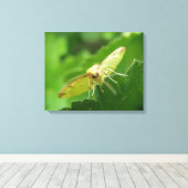 Impression sur toile Papillon de soufre (Insitu (Plancher de Bois))