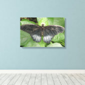Impression sur toile Papillon et fleurs tropicales (Insitu (Plancher de Bois))