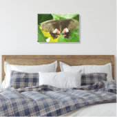 Impression sur toile Papillon Queue Rouge Écarlate (Insitu(Chambre))
