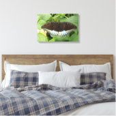 Impression sur toile Papillon Tropical Mignon (Insitu(Chambre))
