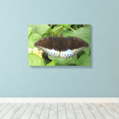 Impression sur toile Papillon Tropical Mignon (Insitu (Plancher de Bois))