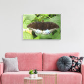Impression sur toile Papillon Tropical Mignon (Insitu(Salon))