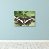Impression sur toile papillon tropical noir et bla (Insitu (Plancher de Bois))