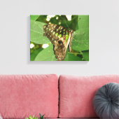 Impression sur toile papillon vert iridescent trop (Insitu(Salon))