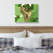 Impression sur toile papillon vert iridescent trop (Insitu(Chambre))