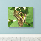 Impression sur toile papillon vert iridescent trop (Insitu (Plancher de Bois))