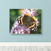 Impression sur toile Papillon Vulcain et Buddleia (Insitu (Plancher de Bois))