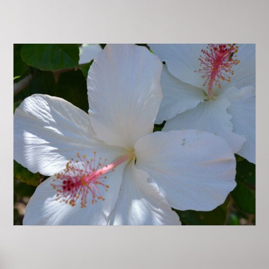 Impression sur toile parfum floral (Devant)