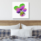 Impression sur toile Pensée violette et verte (Insitu(Chambre))
