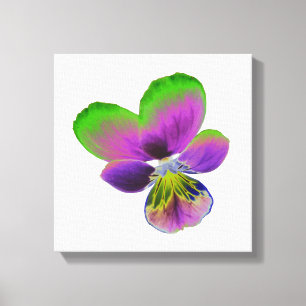 Impression sur toile Pensée violette et verte