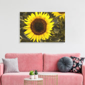 Impression sur toile Photographie de tournesol dan (Insitu(Salon))