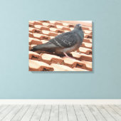 Impression sur toile Pigeon sur un Toit (Insitu (Plancher de Bois))