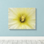 Impression sur toile Pretty Pale Daffodil (Insitu (Plancher de Bois))