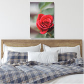 Impression sur toile Rose rouge Élégance Photograp (Insitu(Chambre))