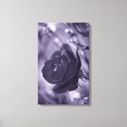 Impression sur toile Rose Violette Enveloppée (Recto)