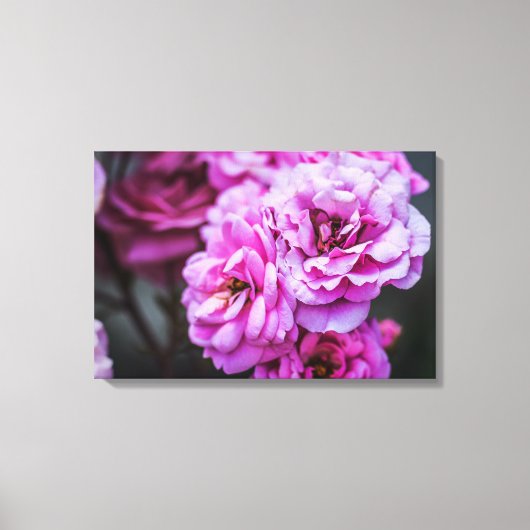 Impression sur toile Roses roses tendres (Recto)