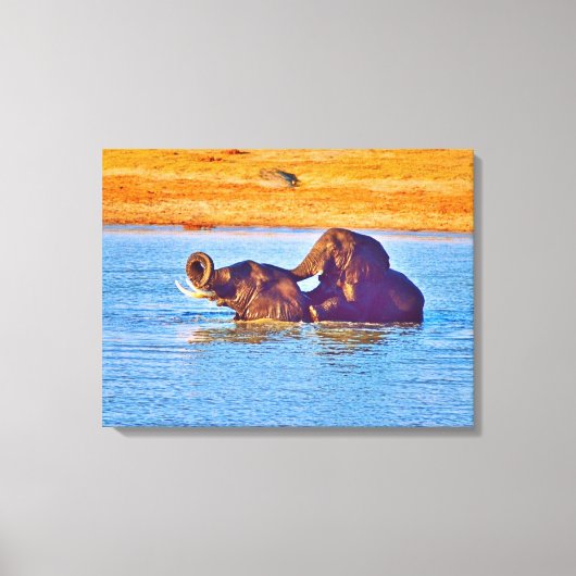 Impression sur toile tendue (Recto)