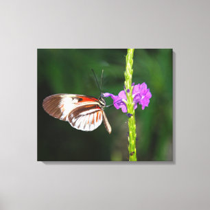 Impression sur toile tendue