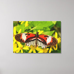 Impression sur toile tendue