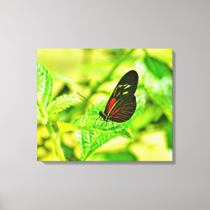 Impression sur toile tendue