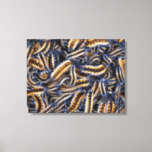 Impression sur toile tendue