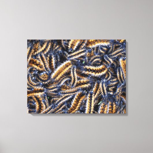 Impression sur toile tendue (Recto)